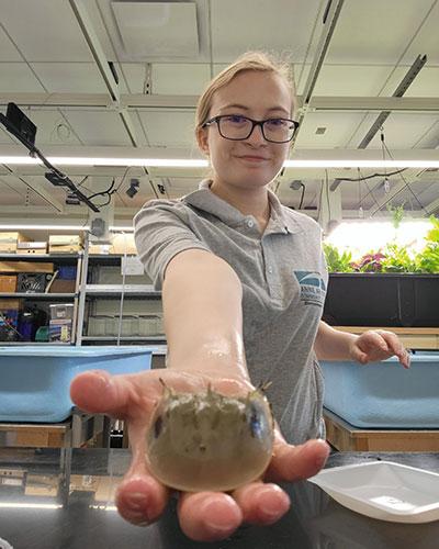 Maggie Nester holding a horseshoe crab